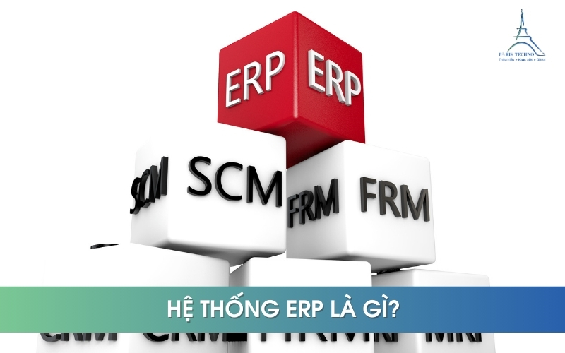 What is the role of ERP